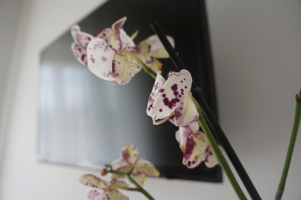 Lullymia Bed & Breakfast Crotone Dış mekan fotoğraf